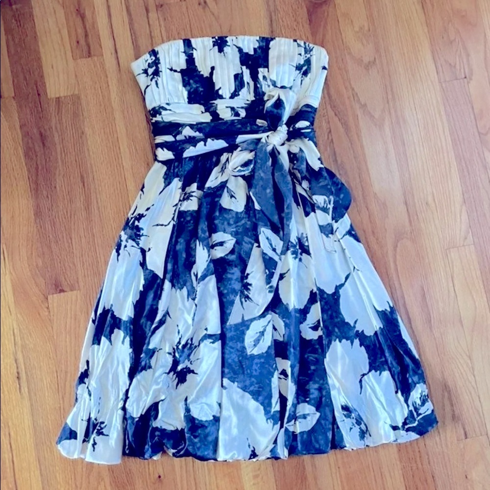 Sz4 BCBG MaxAzria Silk Dress